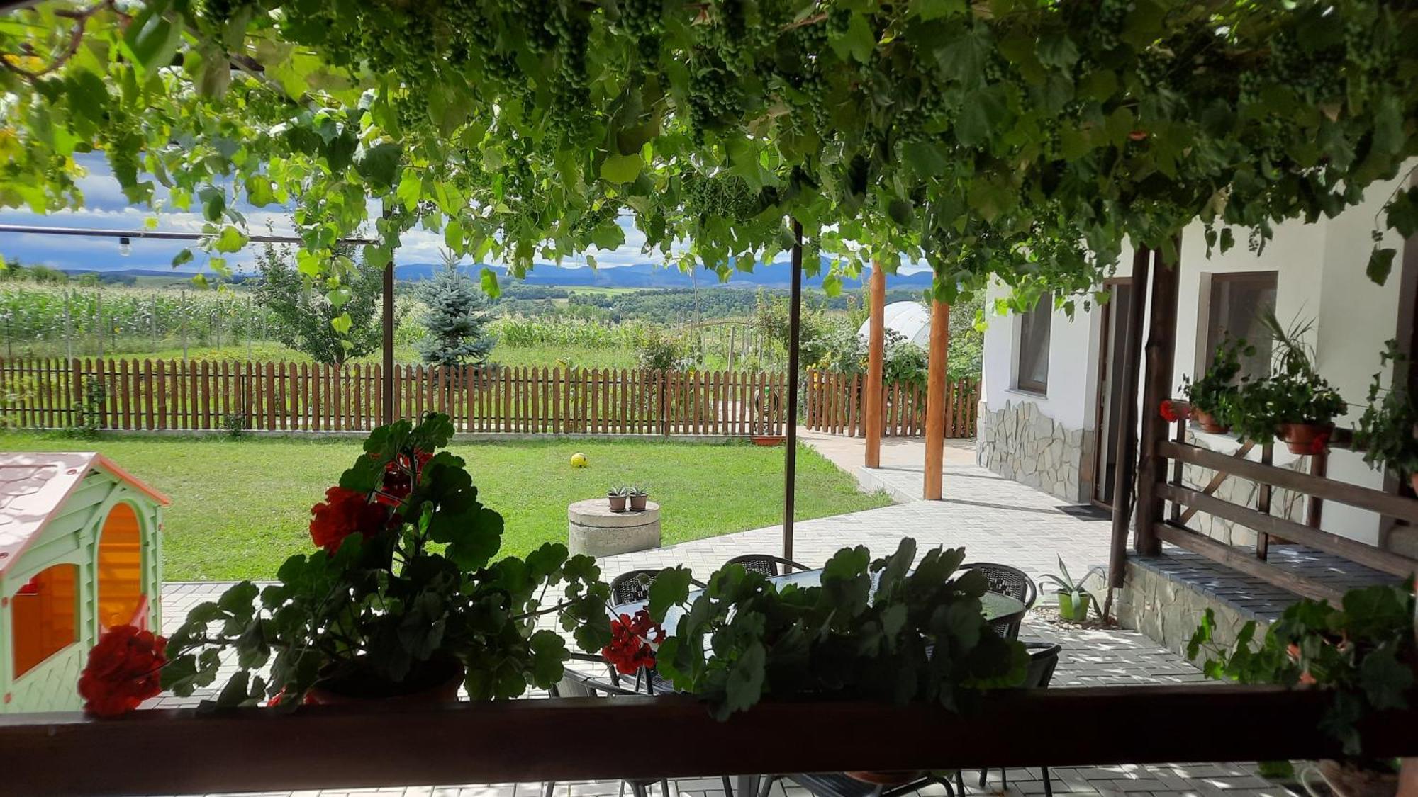 Casuta Din Deal Targu Neamt Exterior photo